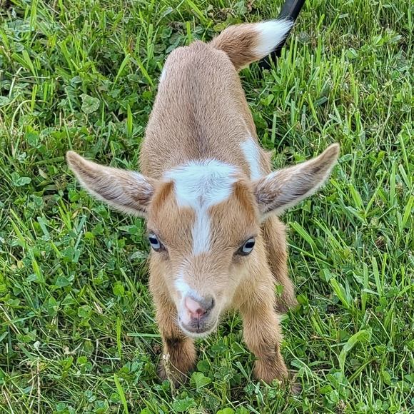 MEET MY KIDS! - Picture 3 of 10